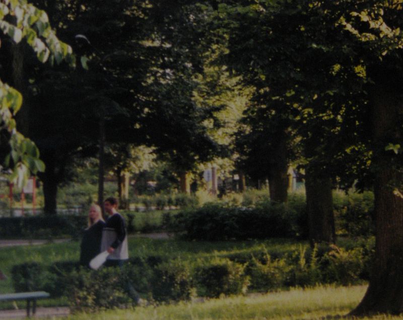 Tonący w zieleni park w Sokółce. 2001 rok
