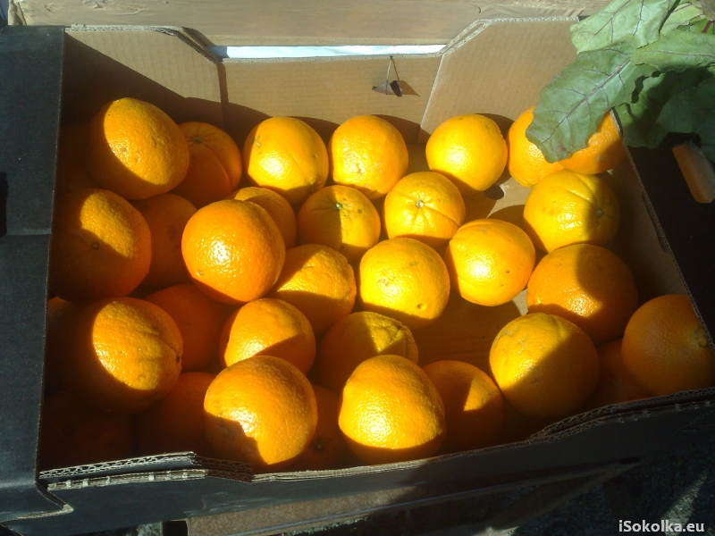 Pomarańcze oferowano po 3,50 zł za kilogram (iSokolka.eu)
