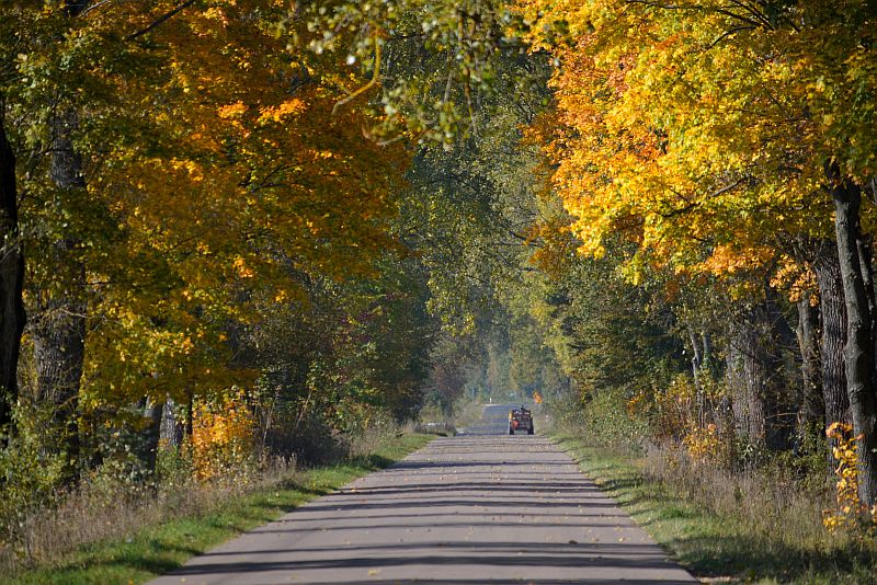 Droga między Malawiczami a Sokółką. 4 października 2014 (iSokolka.eu)