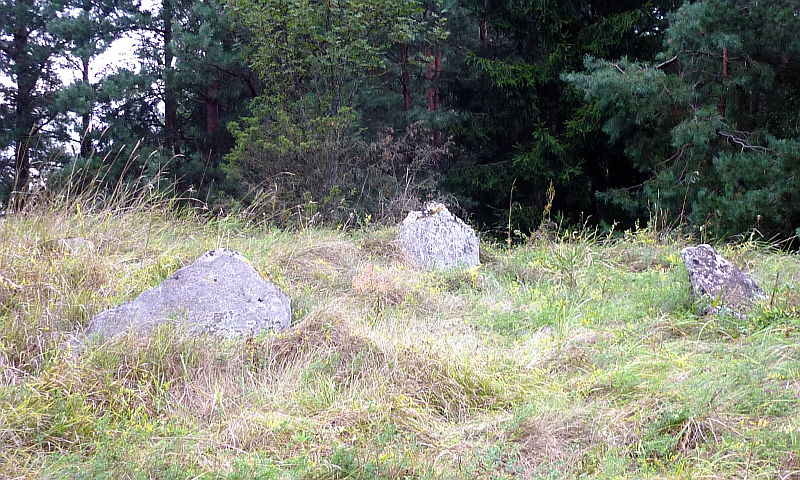 Cmentarz choleryczny w okolicach Starowlan (E. Horsztyński)