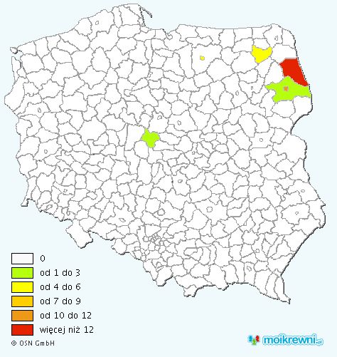 Częstotliwość występowania nazwiska Bierko w Polsce (moikrewni.pl)
