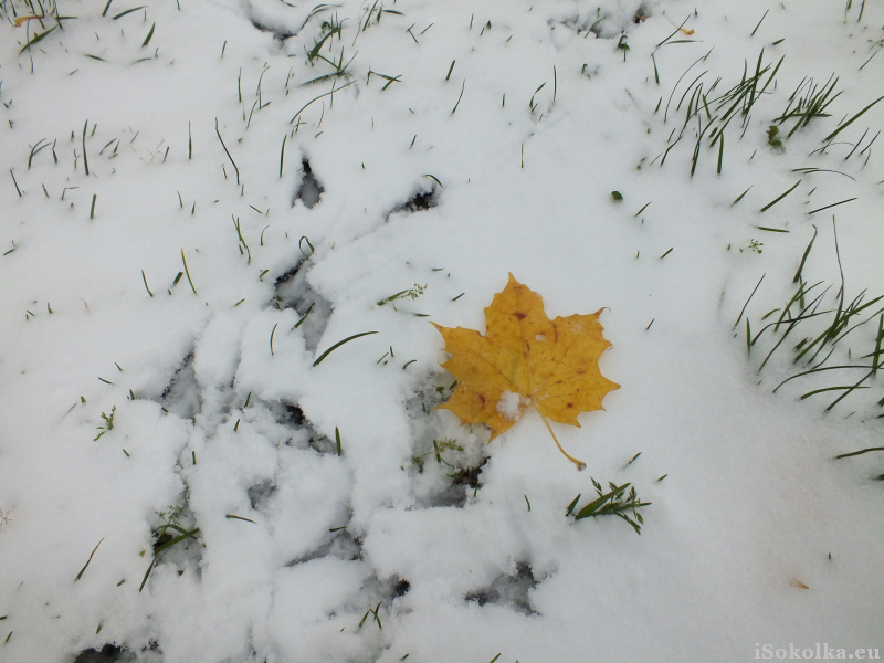Już w połowie października może spaść pierwszy śnieg (iSokolka.eu)