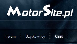 Zrzut ekranowy z logo strony