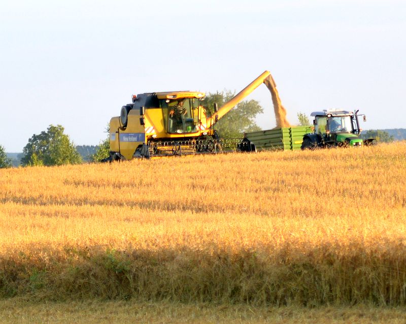 Żniwa pod Sokółką (iSokolka.eu)