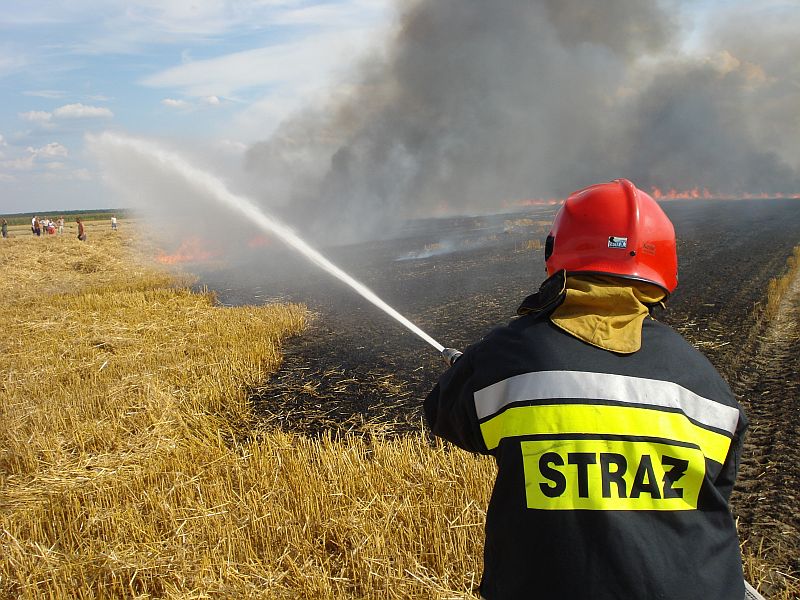 Zdjęcie ilustracyjne (straz.gov.pl)