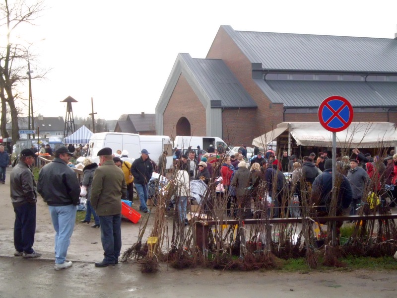 Tłumy klientów robiły dziś zakupy na rynku (iSokolka.eu)