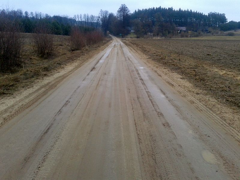 Droga do Ciumicz (K. Sobolewski/ Nadleśnictwo Krynki)