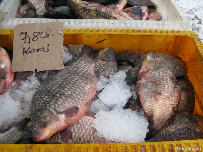 Chętni mogli kupić ryby (iSokolka.eu)