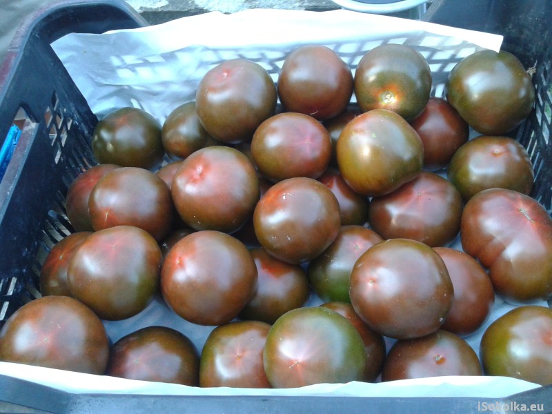 Na jednym ze stoisk oferowano brązowe pomidory (iSokolka.eu)