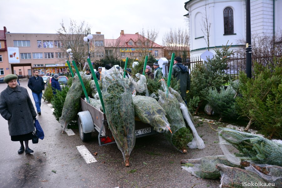 Sprzedaż choinek w centrum Sokółki, grudzień 2014 (iSokolka.eu)