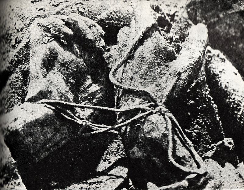Zdjęcie z 1943 roku z ekshumacji ciał polskich oficerów zamordowanych przez NKWD w Katyniu (Wikipedia)
