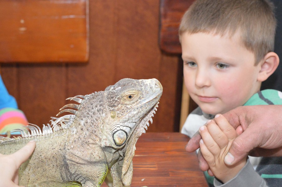 Dzieci mogły poznać egzotyczne zwierzęta (Q Pomocy)