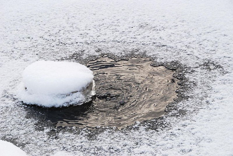 (podlaska.policja.gov.pl)