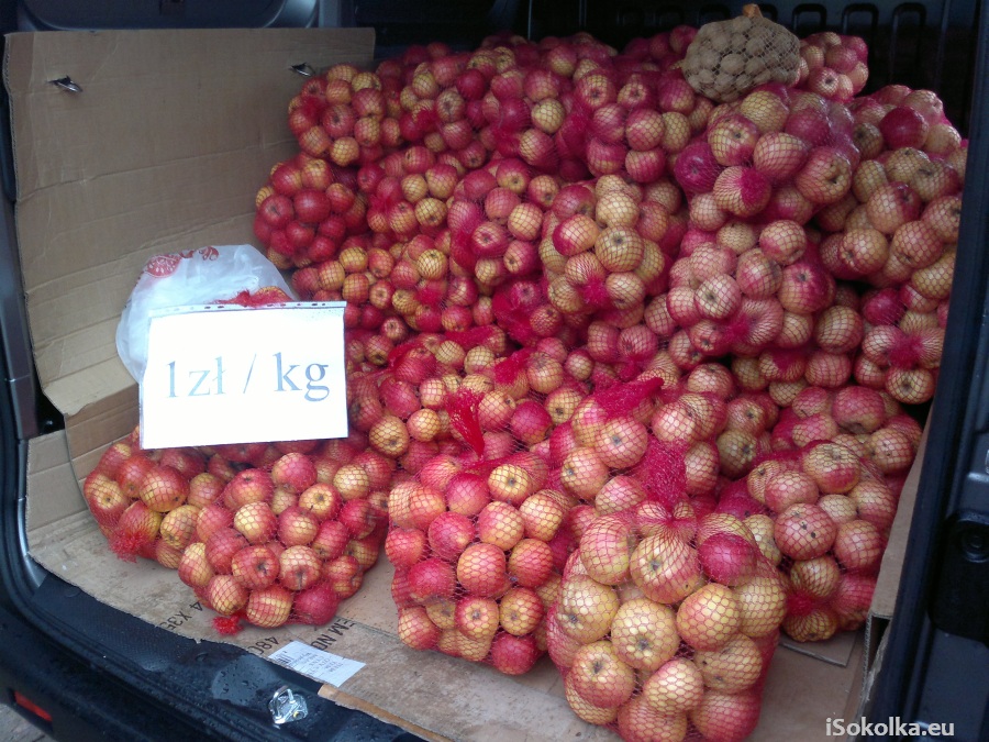Jabłka sprzedawanopo 1 zł (iSokolka.eu)