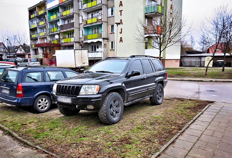 Zdjęcie nadesłane przez Czytelnika