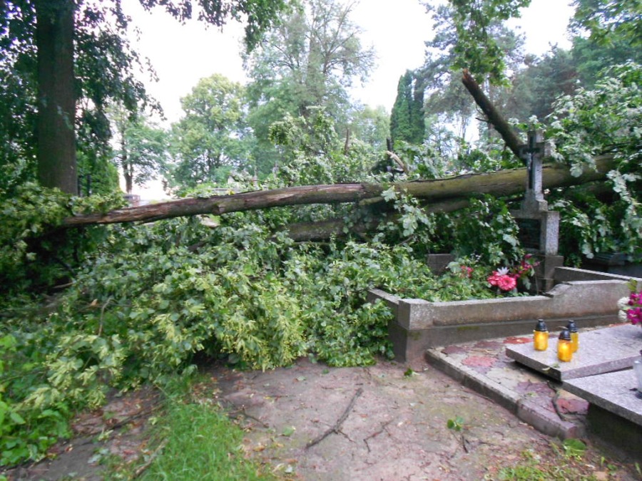 Połamane drzewa na sokólskiej nekropolii. 17 czerwca 2016 (Czytelnik)