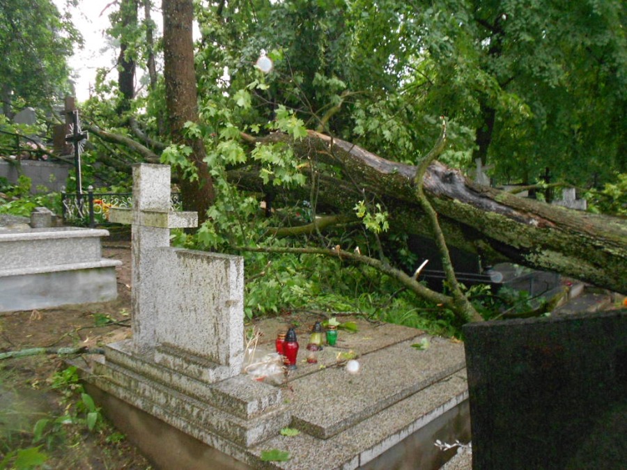 Drzewa zniszczone na cmentarzu po wichurze z 17 czerwca (Czytelnik)