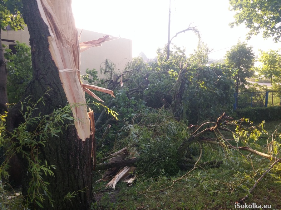 Połamane drzewa przy Przedszkolu Nr 3 w Sokółce (iSokolka.eu)