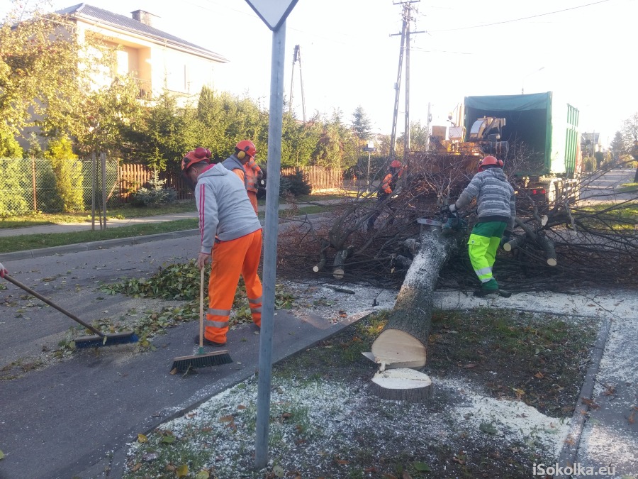 Dziś rano na Polnej wycięto drzewa (iSokolka.eu)