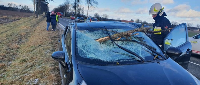 Drzewo spadło na samochód [FOTO]. Zablokowana „ósemka” po